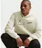 Nike Club Fleece Graphic Pullover Hoodie (IF0685) lt khaki/obsidian