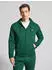 Polo Ralph Lauren Pullover Regular Fit (71088151) new forest