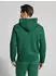 Polo Ralph Lauren Pullover Regular Fit (71088151) new forest