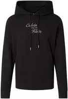 Kapuzensweatshirt CALVIN KLEIN JEANS, Herren, Gr. S, schwarz, Sweatware,
