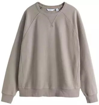Next Fashion Standard Baumwollmischung Rundhals Sweatshirt mit gebürstetem Innenfutter (V1213406) taupe