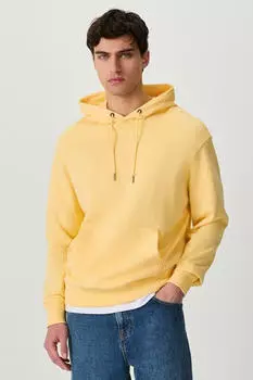 Next Fashion Kapuzensweatshirt (Y1685006) hellgelb