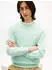 Tommy Hilfiger Brand Love Terry Embroidery Stack Sweatshirt (88603400) crushed mint