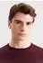 Seidensticker Merino Wool Pullover (251600) bordeaux