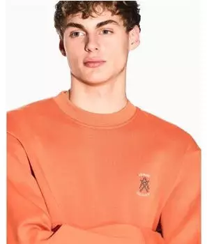 Armani Exchange Icon Project Embroidered Logo Crewneck Sweatshirt (XM001777AF10818) orange rust