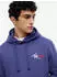 Tommy Hilfiger Tommy Badge Hoody (DM0DM20258) blue storm