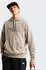 The North Face Drew Peak Light P/O Hoodie