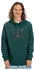 DC Shoes Snowstar Hoodie ponderosa pine