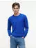 Tommy Hilfiger Essential Cotton Crewneck Regular Fit Pullover (MW0MW39999) regal blue