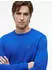Tommy Hilfiger Essential Cotton Crewneck Regular Fit Pullover (MW0MW39999) regal blue