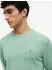 Tommy Hilfiger Essential Cotton Crewneck Regular Fit Pullover (MW0MW39999) cut grass