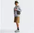 The North Face Drew Peak Crew Sweatshirt (NF0A89EK) light grey heather/new taupe green