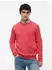 Tommy Hilfiger Crew Neck Slim Jumper (DM0DM21787) anthem rot