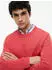 Tommy Hilfiger Crew Neck Slim Jumper (DM0DM21787) anthem rot