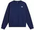 The North Face Simple Dome Regular Crew Sweatshirt (NF0A8D608K2) summit navy