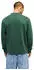 Quiksilver Salt Water Sweatshirt Regular Fit (EQYFT05158-GRT0) forest