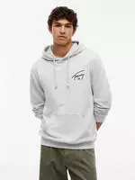 Kapuzensweatshirt TOMMY JEANS "REGULAR ENTRY SIGNATURE HOOD", Herren, Gr. S, grau