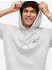 Tommy Hilfiger Regular Entry Signature Hood Kapuzensweatshirt Regular Fit (99688129) ice grau heather/hellgrau/knallrot/schwarz
