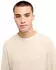 Quiksilver Salt Water Sweatshirt Regular Fit (EQYSW03342-SFZ0) peyote