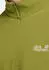Jack Wolfskin Taunus 100 HZ M Fleece Pullover (A65798-E0337) khaki green