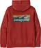 Patagonia Boardshort Logo Uprisal Hoodie