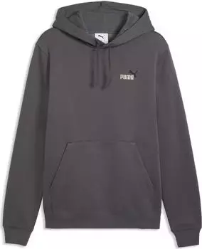Puma Essentials 2 Colour Small No. 1 Logo Hoodie (684718) grau