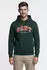GANT Graphic Hoodie (68628304) tartan grün