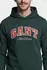 GANT Graphic Hoodie (68628304) tartan grün