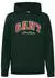 GANT Graphic Hoodie (68628304) tartan grün
