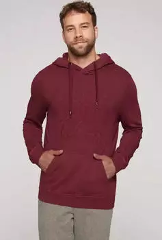 Camp David Logo Artwork Hoodie burgundy (Herren) (CW2408-3426-32)