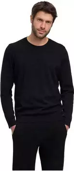 Falke Basic Apparel Rundhals (Herren)