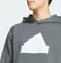 adidas Future Icons Badge of Sport Hoodie legend ivy (Herren) (IN3324)