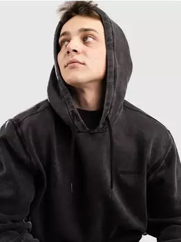 Dickies Plentywood Hoodie schwarz (Herren)