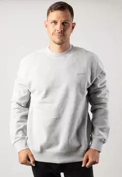 Carhartt Duster Script Sweat Sweatshirt basalt garment dyed (Herren) (I033065-29J-GD)