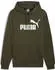 Puma Essentials Big Logo Hoodie (586688)