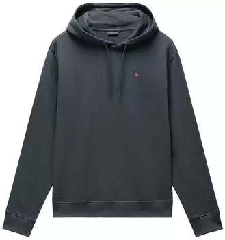 Napapijri Kapuzensweatshirt (NP0A4H8A) green urban