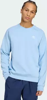 adidas Trefoil Essentials Sweatshirt ash blue (Herren) (JW3524)