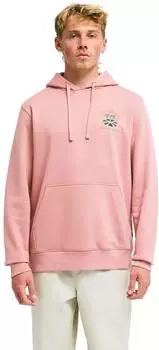 Billabong Foundation PO Kapuzensweatshirt (EBYSF00189) ash rose