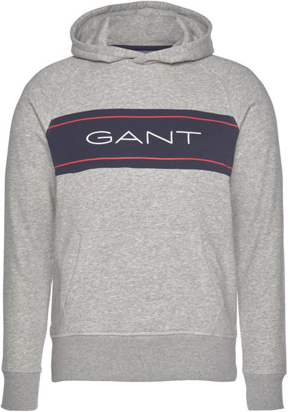 GANT Archive Hoodie grey (2007016-94)