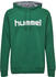 Hummel Go Cotton Logo Hoodie evergreen (203511-6140)