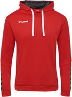 Hummel 204930-3062-3XL, hummel Sport-Kapuzenpullover hmlAUTHENTIC Poly Hoodie
