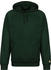 Carhartt Hooded Chase Sweat bottle green/gold (I026384.3C.90)
