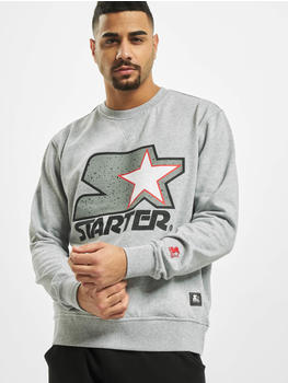 Starter Sweatshirt Multicolored Logo grey (ST01900431)