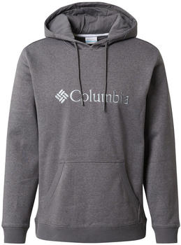 Columbia Sportswear CSC Basic Logo II Hoodie city grey heather/columbia grey