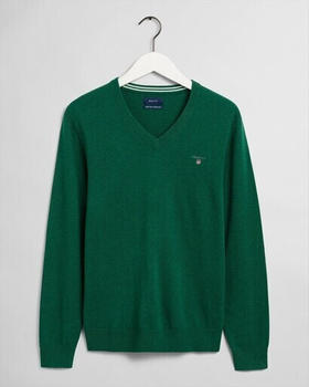 GANT Lambswool-pullover Mit V-ausschnitt (86212-317) kelly green