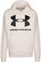 Under Armour UA Rival Fleece Big Logo Hoodie (1357093)