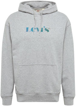 Levi's Relaxed Graphic Graphic Serif Hoodie (38479) heather grey