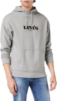 Levi's Relaxed Graphic Graphic Serif Hoodie (38479) neutral