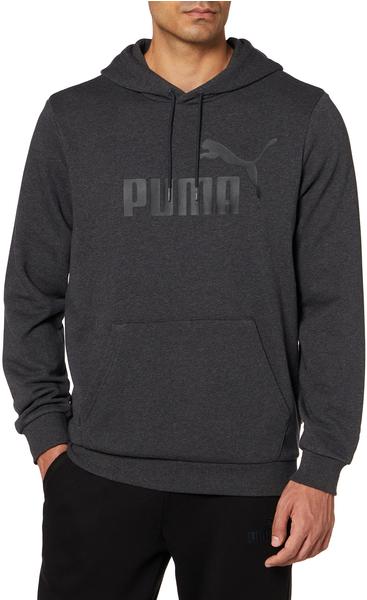 Puma Essentials Big Logo Hoodie (586688) dark gray heather