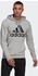 Big Logo Hoodie medium grey melange (GK9541): Adidas Essentials Big Logo Hoodie